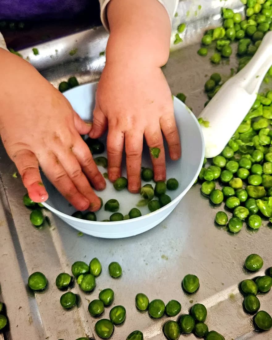 Manos de un niño explorando arvejas frescas dentro de un bowl.
