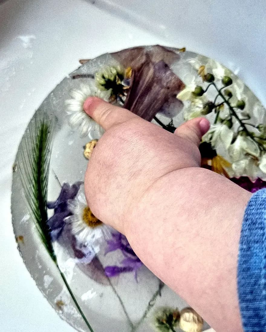 Mano de un niño explorando un disco de hielo con flores prensadas.